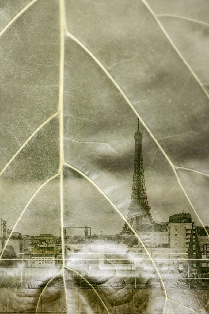 Novotel Paris Vaugirard